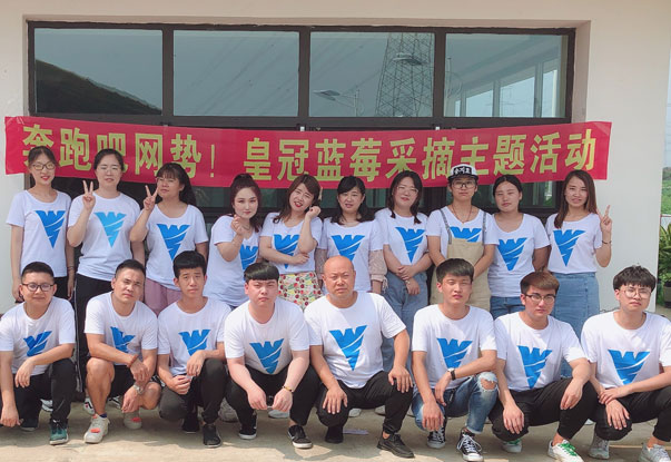 【奔跑吧網(wǎng)勢！】藍(lán)莓采摘主題團(tuán)建活動